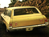 Chevrolet Brookwood 1969 photos