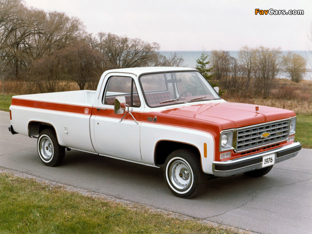 Chevrolet S10 Custom Deluxe Olympic Edition 1976 wallpapers (640 x 480)