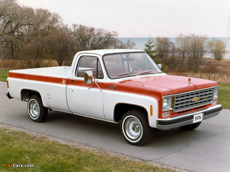 Chevrolet S10 Custom Deluxe Olympic Edition 1976 wallpapers (800 x 600)