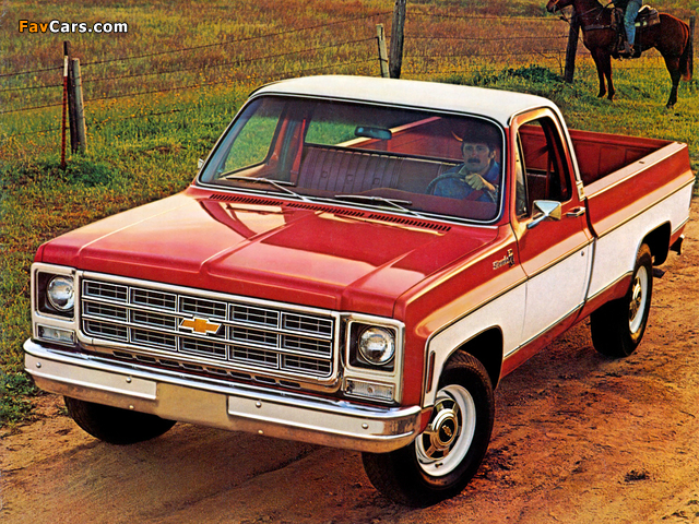 Chevrolet 20 Silverado Fleetside 1979 images (640 x 480)