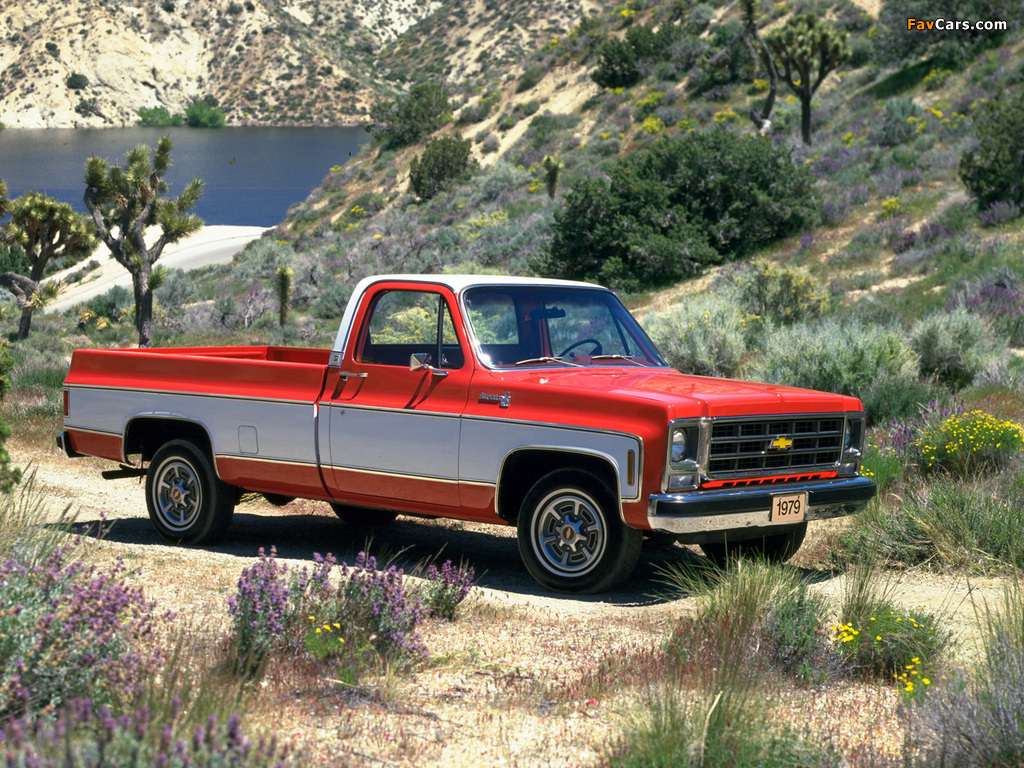 Chevrolet 20 Silverado Fleetside 1979 pictures (1024 x 768)