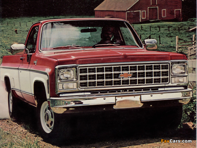 Chevrolet C20 Silverado Fleetside 1980 pictures (640 x 480)