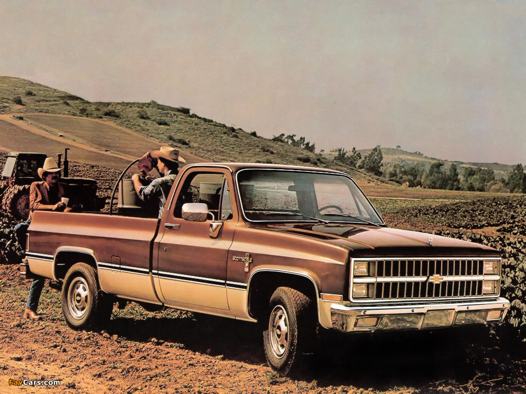 Chevrolet C20 Scottsdale 1982 wallpapers (1024 x 768)