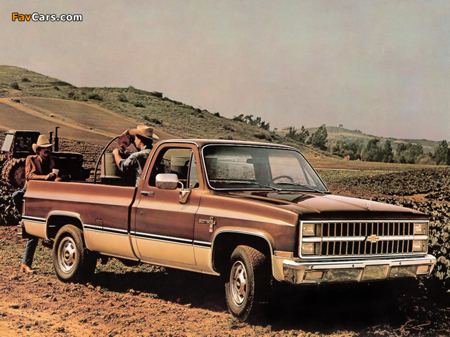 Chevrolet C20 Scottsdale 1982 wallpapers (640 x 480)