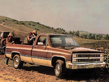 Chevrolet C20 Scottsdale 1982 wallpapers