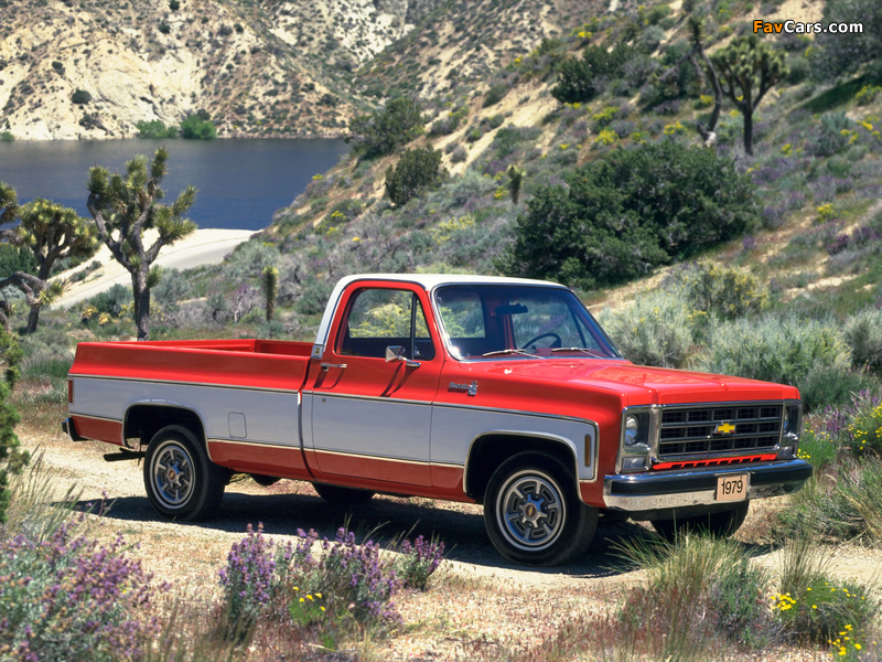 Images of Chevrolet S20 Silverado Fleetside 1979 (800 x 600)