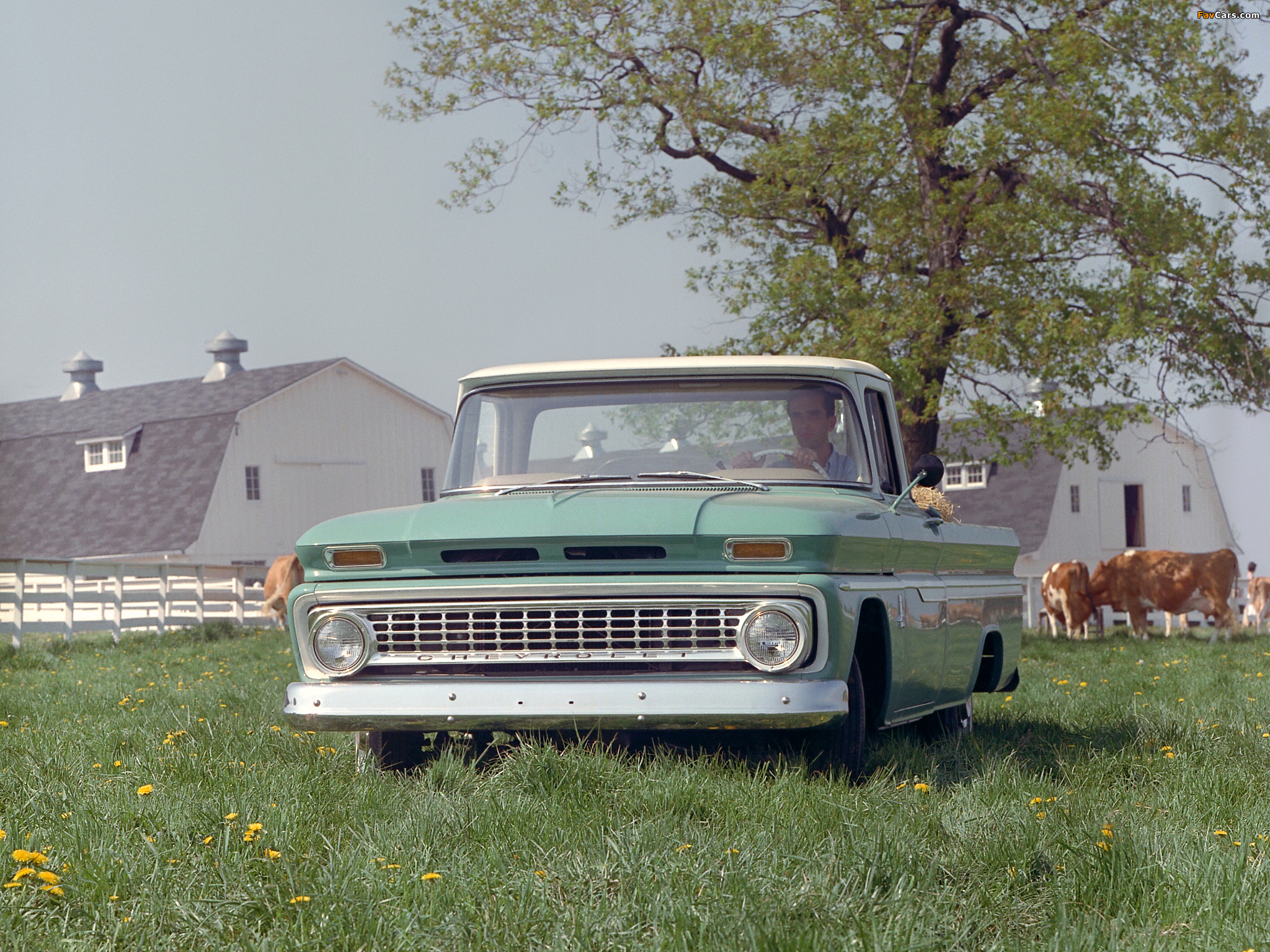 Photos of Chevrolet C10 Fleetside Pickup (C1434) 1963 (2048 x 1536)