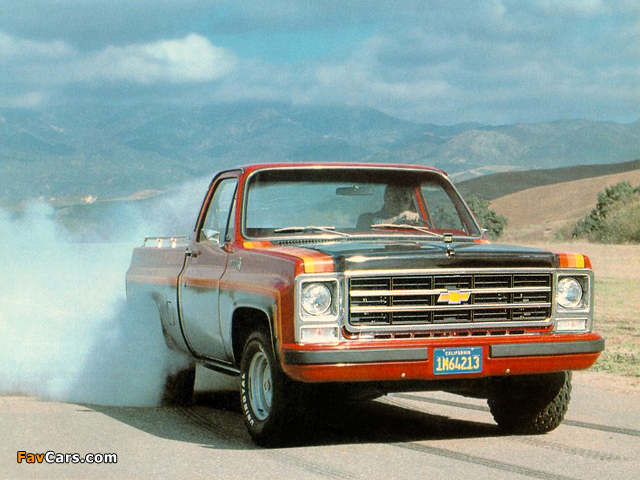 Photos of Chevrolet Big 10 1979 (640 x 480)