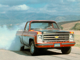 Photos of Chevrolet Big 10 1979