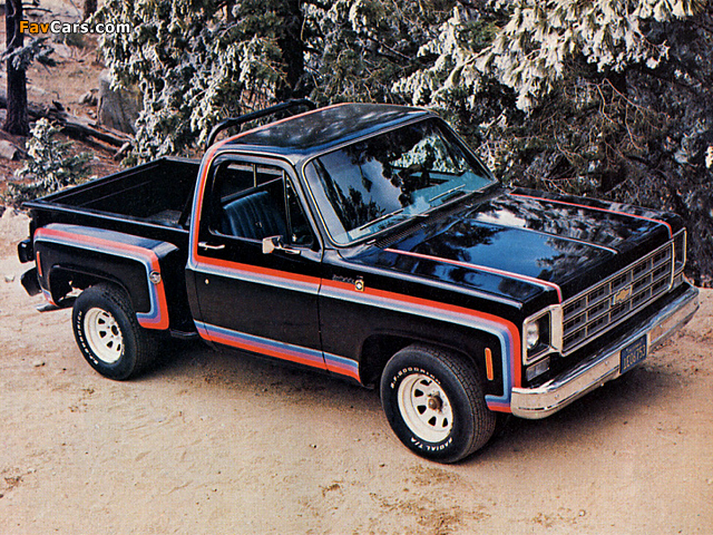 Photos of Chevrolet Big 10 1979 (640 x 480)