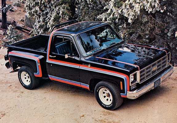Photos of Chevrolet Big 10 1979