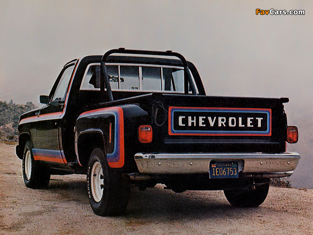 Pictures of Chevrolet Big 10 1979 (640 x 480)