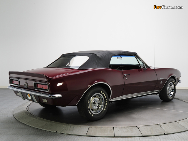 Chevrolet Camaro RS 327 Convertible (12467) 1967 images (640 x 480)