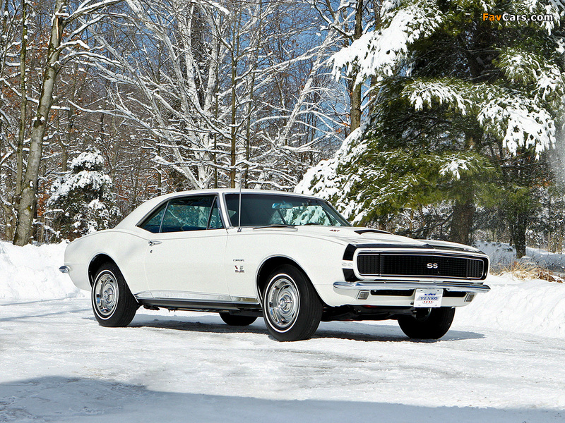 Chevrolet Camaro Yenko RS/SS 427 (12437) 1967 photos (800 x 600)