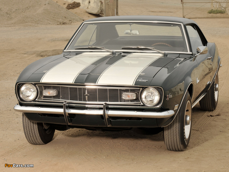 Chevrolet Camaro Z/28 1968 pictures (800 x 600)