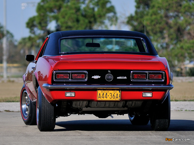 Chevrolet Camaro Yenko RS/SS 427 1968 pictures (800 x 600)