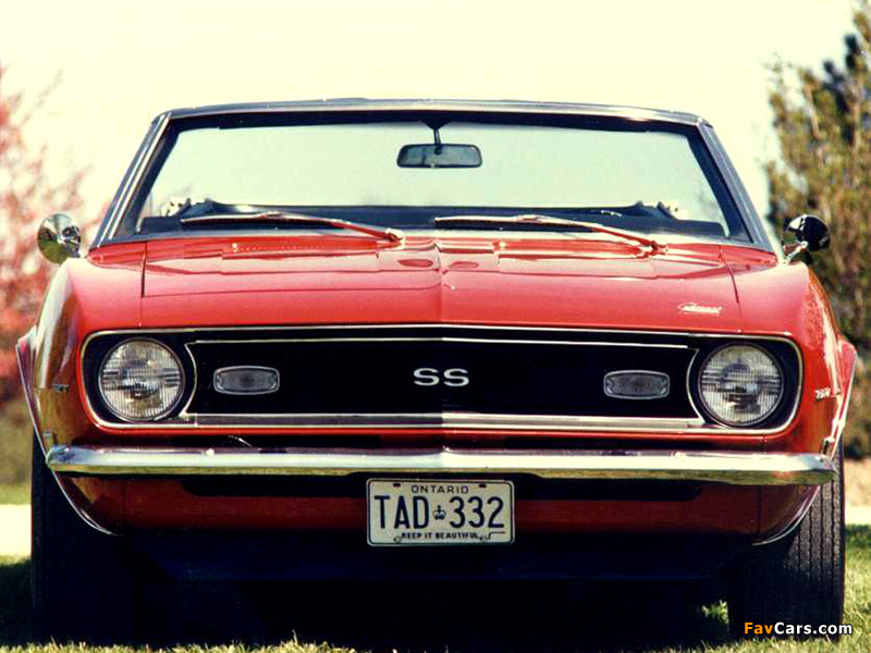 Chevrolet Camaro SS Convertible 1968 pictures (800 x 600)
