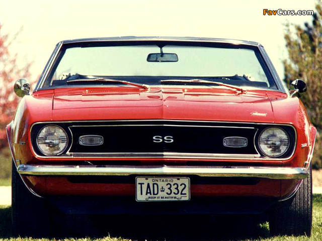 Chevrolet Camaro SS Convertible 1968 pictures (640 x 480)