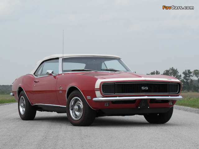 Chevrolet Camaro RS/SS 396 Convertible 1968 wallpapers (640 x 480)