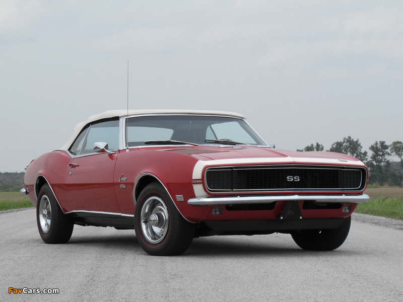 Chevrolet Camaro RS/SS 396 Convertible 1968 wallpapers (800 x 600)