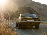 Chevrolet Camaro Z/28 with Vinyl Roof Cover (12437) 1969 images