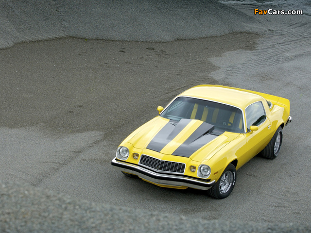 Chevrolet Camaro 1974–81 pictures (640 x 480)