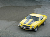 Chevrolet Camaro 1974–81 pictures