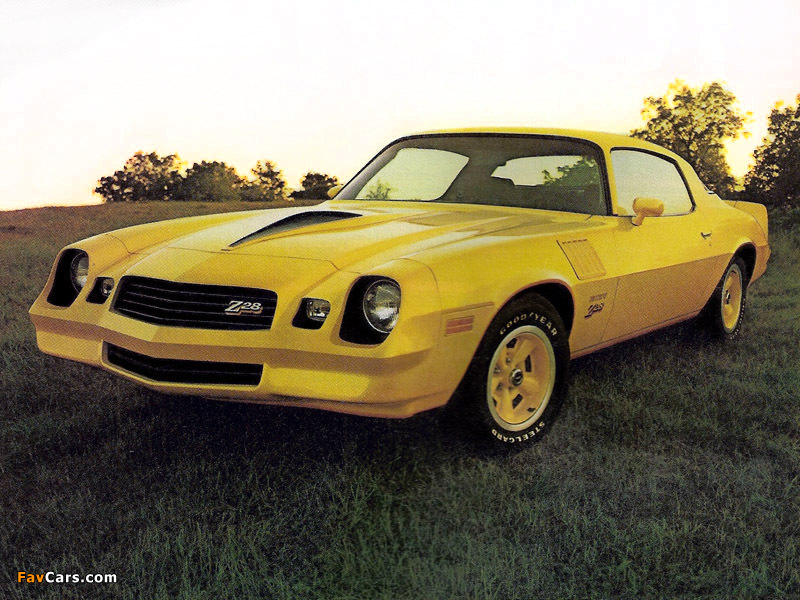 Chevrolet Camaro Z28 1978–81 photos (800 x 600)