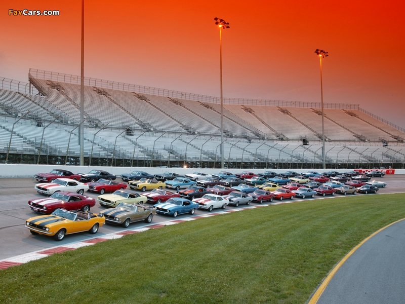 Chevrolet Camaro photos (800 x 600)