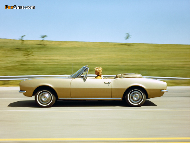 Images of Chevrolet Camaro Convertible 1967 (640 x 480)