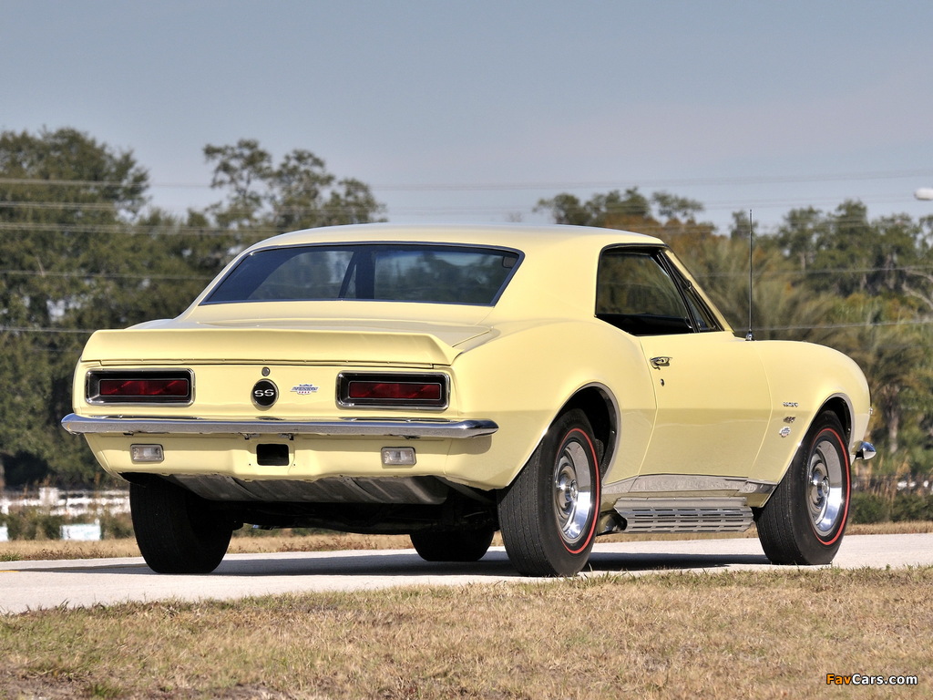 Images of Chevrolet Camaro Yenko RS/SS 427 (12437) 1967 (1024 x 768)