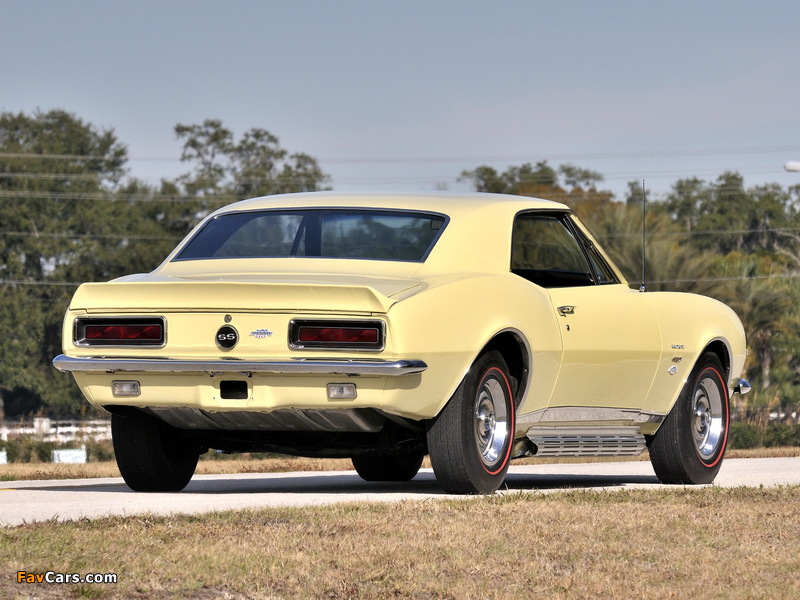 Images of Chevrolet Camaro Yenko RS/SS 427 (12437) 1967 (800 x 600)