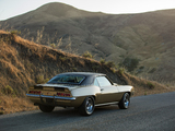 Images of Chevrolet Camaro Z/28 with Vinyl Roof Cover (12437) 1969