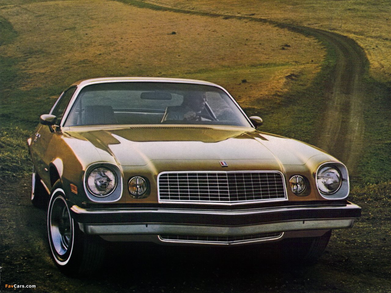 Images of Chevrolet Camaro 1974–77 (1280 x 960)