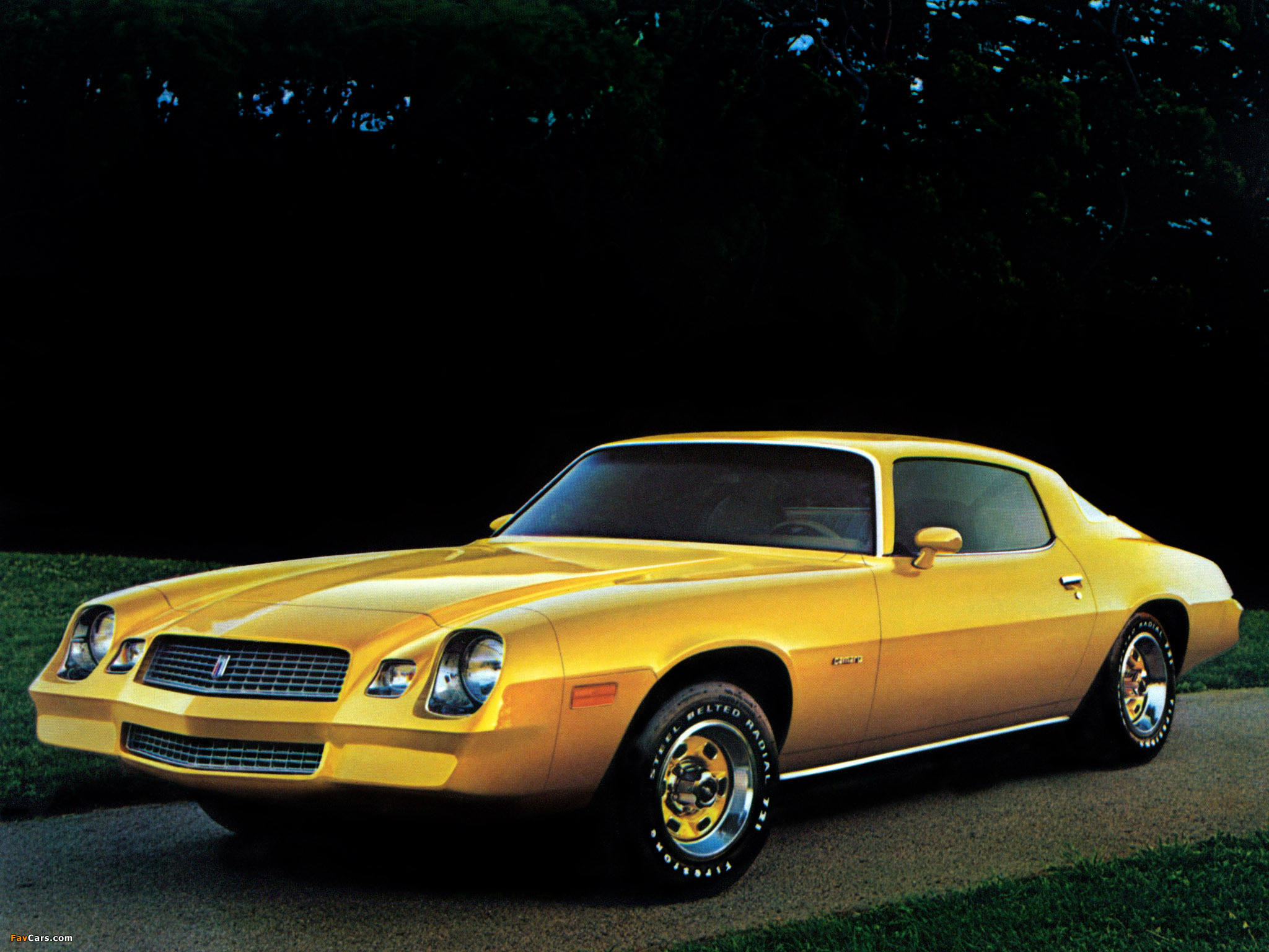 Images of Chevrolet Camaro Sport Coupe 1981 (2048 x 1536)