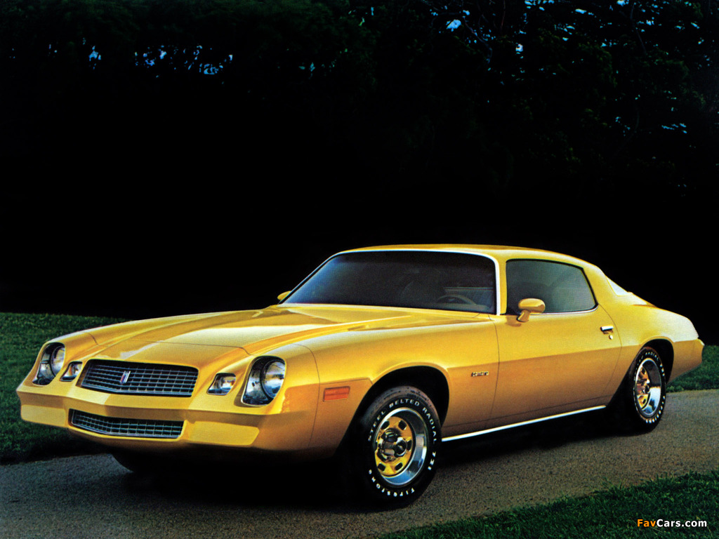 Images of Chevrolet Camaro Sport Coupe 1981 (1024 x 768)