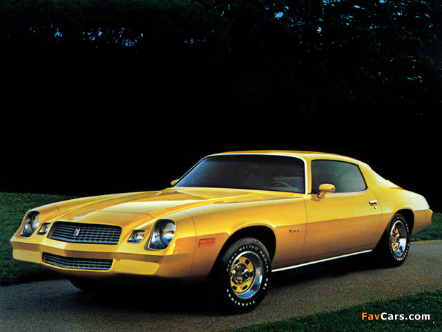 Images of Chevrolet Camaro Sport Coupe 1981 (640 x 480)