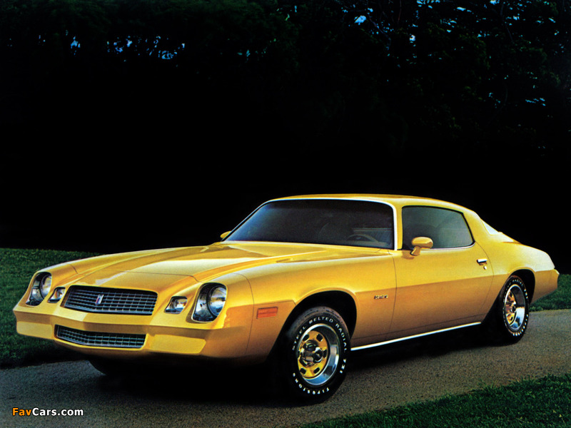 Images of Chevrolet Camaro Sport Coupe 1981 (800 x 600)