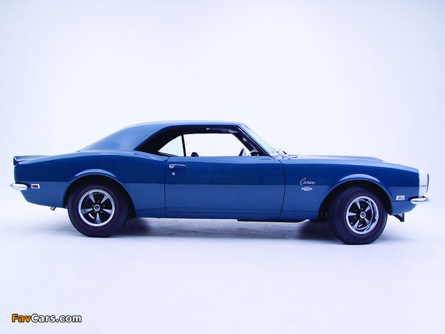 Photos of Chevrolet Camaro Yenko SS 427 1968 (640 x 480)