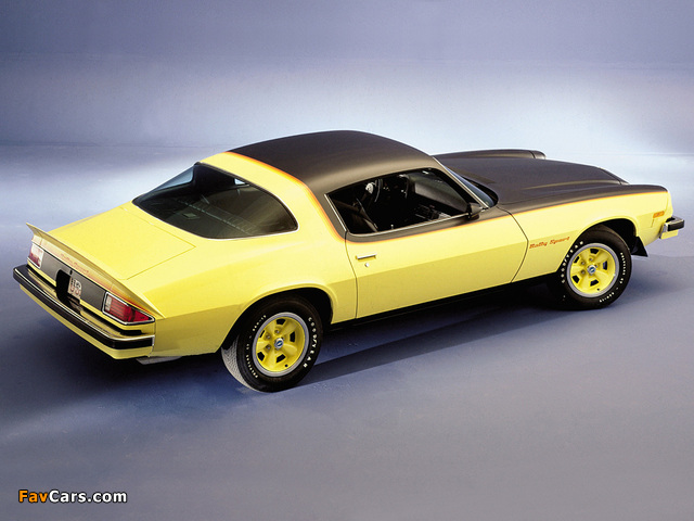 Photos of Chevrolet Camaro Rally Sport 1976–77 (640 x 480)