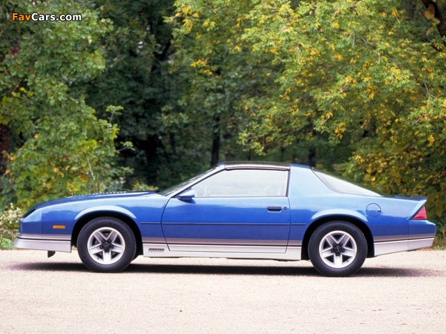 Photos of Chevrolet Camaro Z28 T-Top 1982–84 (640 x 480)