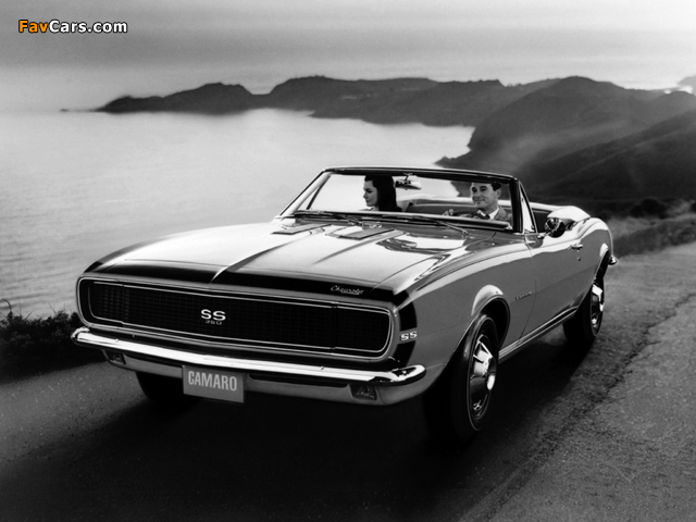 Pictures of Chevrolet Camaro RS/SS 350 Convertible (12467) 1967 (640 x 480)