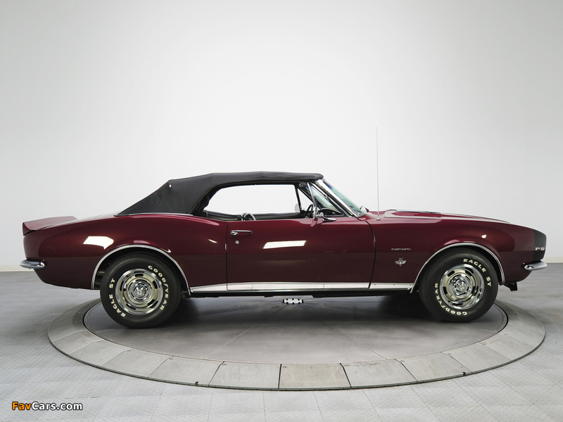 Pictures of Chevrolet Camaro RS 327 Convertible (12467) 1967 (800 x 600)