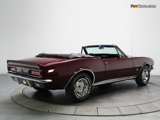 Pictures of Chevrolet Camaro RS 327 Convertible (12467) 1967 (640 x 480)
