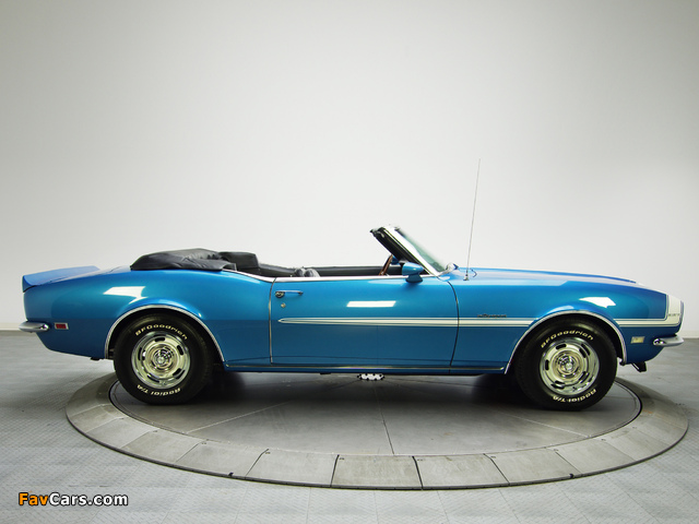 Pictures of Chevrolet Camaro RS 327 Convertible 1968 (640 x 480)