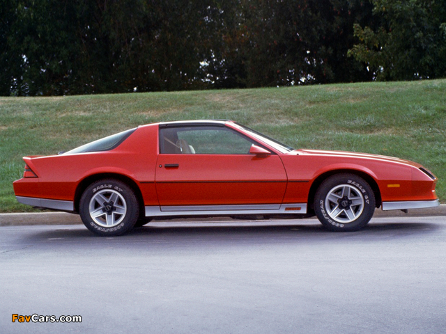 Pictures of Chevrolet Camaro Z28 T-Top 1982–84 (640 x 480)