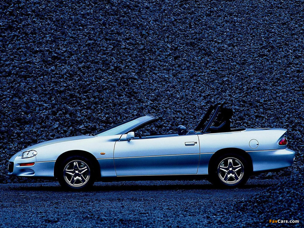 Pictures of Chevrolet Camaro Z28 Convertible 1999–2002 (1024 x 768)