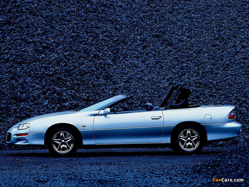 Pictures of Chevrolet Camaro Z28 Convertible 1999–2002 (800 x 600)