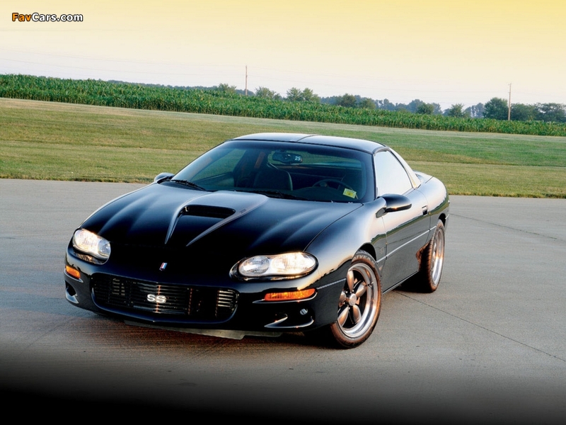 Pictures of Chevrolet Camaro SS Intimidator by Dale Earnhardt 2001 (800 x 600)
