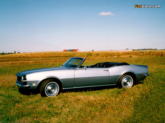 Chevrolet Camaro Convertible 1967 wallpapers (640 x 480)